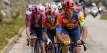 Giro d?Italia, una capra semina il caos tra i ciclisti: gruppo sfiorato, evitata la caduta