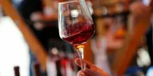 Si cercano 10mila volontari per bere vino tutti i giorni, lo studio: come funziona, i requisiti e come candidarsi