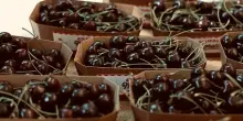 Sagre del weekend, i 5 appuntamenti da non perdere: Chianti, polpette, cioccolato e ciliegie
