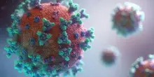 Covid, cresce la nuova variante Nimbus. L'Oms: «Si torna ai livelli di luglio 2024». I sintomi e dove si sta diffondendo