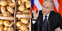 Russia, crisi delle patate: Putin chiede aiuto alla Bielorussia. L'appello di Lukashenko: «Coltiviamo di più per i nostri fratelli»