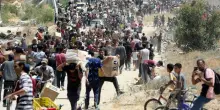 Gaza, «tregua nella Striscia di 60 giorni»: Israele accetta, ma Hamas dice no. La proposta di Witkoff e i timori