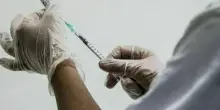 Covid, contagi in aumento in Italia: la nuova variante Nimbus e l'allerta Oms. «Arriva dalla Cina» Cosa sappiamo