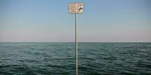 Jesolo, 17enne si tuffa dal pontile (anche se vietato) e sbatte la testa sul fondale: rischia la paralisi