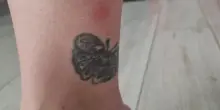 Vigilessa esclusa dal concorso per due tatuaggi ai piedi: «Dedicati a mio padre, mi sento discriminata»