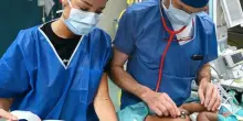 Gemelline siamesi di sette mesi separate: l'eccezionale intervento durato 12 ore all'ospedale Gaslini di Genova