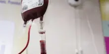 Malattie del sangue, in Italia usata per la prima volta la terapia "Casgevy": svolta nella ricerca