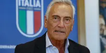 Gravina sul nuovo ct: «Abbiamo alcuni giorni a disposizione e vogliamo usarli tutti»