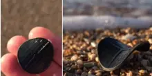 Dischetti neri sulle spiagge italiane, il mistero dell'invasione dal Veneto alla Puglia: cosa sono i piccoli oggetti di plastica z-mbbr