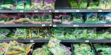 Insalata in busta del supermercato, la classifica del Gambero Rosso: le sorprese sul podio e la top 5