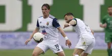 Calciomercato Casertana, fiducia a Collodel