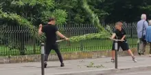 Baby vandali strappano gli alberi (appena piantati) al parco per sfidarsi in strada. I residenti furiosi: «Siamo stanchi»