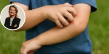 Zanzare, zecche, api, la pediatra: «Mai repellenti sotto i sei mesi, braccialetti inutili». Zanzariere, stick all'ammoniaca, farmaci: cosa serve davvero