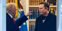 Trump minaccia Musk: «Deportare Elon? Darò un'occhiata, senza sussidi dovrebbe tornare in Sudafrica»