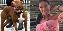 Ragazza azzannata da un pitbull mentre lo accarezza: il volto sfigurato e i 20 punti di sutura. «Il sangue mi colava»