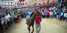 Palio Siena, vince contrada dell'Oca: Atzeni (detto Tittia) conduce il cavallo Diodoro al successo
