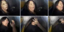 Erin Patterson condannata, uccise suoceri e zia con una pranzo a base di funghi avvelenati. Solo l'ex marito si salvò. L'Amanita falloide usata come ingrediente