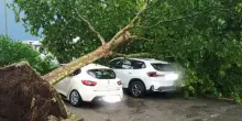 Maltempo "infernale" a Verona, alberi caduti e traffico in tilt in meno di 15 minuti di tempesta: raffiche di vento a 100 km/h