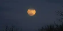 Oroscopo, la Luna Piena (del cervo) in Capricorno e Nettuno retrogrado smascherano le illusioni: turbolenze emotive e desiderio di verità