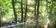 Rocca di Papa, uomo trovato impiccato in un bosco. Accanto al corpo resti di altre ossa umane