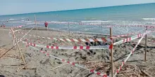 Riccardo Boni, il 17enne morto sepolto dalla sabbia: il papà indagato per omicidio colposo
