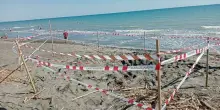 Riccardo Boni morto sotto la sabbia in spiaggia, la verità dall'autopsia: ipotesi malore. «Aveva patologie pregresse?»