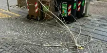 Crolla grosso ramo in via Scarlatti a Napoli: ferito alla testa un passante