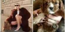 Veronica Ferraro, morta la cagnolina dopo la nascita del primo figlio: «La vita dà, la vita toglie. Hai aspettato che arrivasse per andartene»