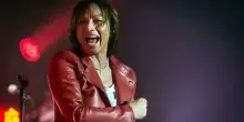 Gianna Nannini, incidente durante il concerto: come sta la cantante