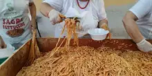 Sagre del weekend, i quattro appuntamenti da non perdere: pesche, pomodoro, fettuccine e Notte Saracena