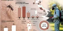 West Nile, come distinguere i sintomi dalla febbre normale? Chi rischia una malattia grave? Tutte le risposte