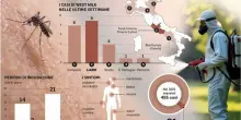 West Nile, la mappa dei contagi in Italia: in totale 21 casi nel Lazio (tutti a Latina).