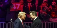 Elon Musk, i contraccolpi della rottura con Trump: Tesla perde colpi, Starlink si è fermata