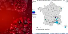 Virus Chikungunya, epidemia in Francia. L'Oms: «Rischio globale», casi anche in Italia. Sintomi, contagio e cura