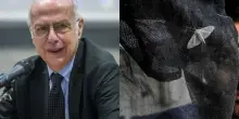 Gianni Rezza: «West Nile? Circola in molte zone, vanno prese subito le adeguate precauzioni». Quando il virus provoca sintomi neurologici