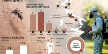 West Nile, 32 casi in Italia: quali sono i sintomi? Si trasmette da uomo a uomo? Dove è diffuso? Come riconoscere il virus? La guida