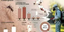 West Nile, cosa fare in casa per ridurre il rischio infezioni? Quando contattare il medico? Cosa evitare? Dieci domande e risposte