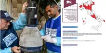 West Nile, aumentano casi e morti: 7 vittime, stop alle donazioni di sangue anche a Roma e Napoli. Boom di vendite di prodotti anti-zanzare: come difendersi