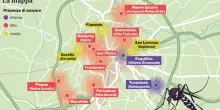 West Nile Roma, in quali zone ci sono più zanzare? Salario, Trastevere, Esquilino: la mappa dei quartieri più a rischio