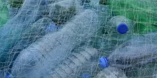 Microplastiche dannose per il cervello, le ingeriamo senza accorgercene. Quali sono i rischi per la salute? Lo studio americano