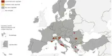 West Nile, la mappa dei contagi: Italia prima in Europa. Il caso letalità in Campania, il picco nel Lazio e come difendersi
