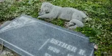 Cani e gatti sepolti insieme ai padroni, da adesso è possibile: «Sono parte della famiglia, è un atto di civiltà»