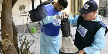 West Nile, sesta vittima: il cluster resta domiziano