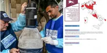 West Nile, altri tre morti in Italia: uno a Latina e due nel Casertano. Il totale delle vittime sale a 13