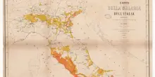 Dalla malaria al West Nile, dopo 55 anni Italia di nuovo in guerra contro le zanzare