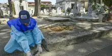 West Nile, 173 casi confermati in Italia da inizio anno. Salgono a 13 i morti