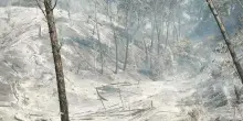Incendio sul Vesuvio, volontario della protezione civile colpito da arbusto: corsa in ospedale