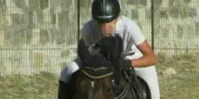 Fantina 17enne cade da cavallo durante un concorso ippico: «È stata sbalzata a terra, è grave»