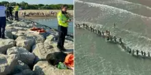 Il bambino di 6 anni scomparso in mare a Cavallino è morto: recuperato a due metri di profondità il corpo di Carlo Panizzo
