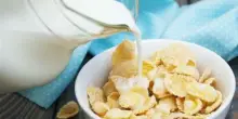 Cereali da colazione, la classifica Altroconsumo: il podio a sorpresa, le grandi marche dietro. Top e flop